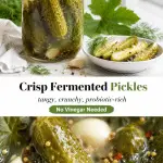 Crisp fermented dill pickles in a mason jar with cloudy brine, garlic cloves, fresh dill, grape leaves, mustard seeds, and peppercorns.