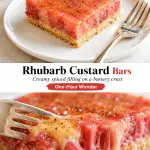 A square rhubarb custard bar with glossy pink cinnamon-spiced custard on a buttery shortbread crust.